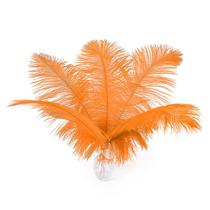 Penas de avestruz Ballinger Orange 25-30 cm - 24 unidades para decoração