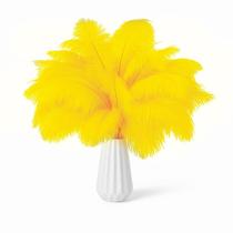 Penas de avestruz NEWONG Yellow 30 unidades naturais 28-35 cm para artesanato