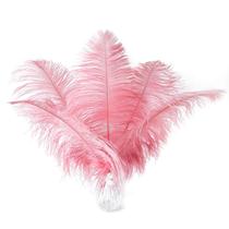 Penas de avestruz rosa Ballinger, 12 peças de 35 a 40 cm de largura