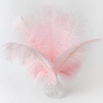 Penas de avestruz rosa Soarer, 15 unidades de 25-30 cm para artesanato