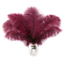 Penas de avestruz Soarer Burgundy 15 unidades de 25-30 cm a granel