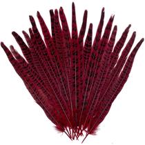 Penas de cauda de faisão, 20 peças vermelhas de 10 a 12 cm para artesanato e decoração Penas de cauda de faisão, 20 peças vermelhas de 10 a 12 cm para artesanato e decoração
