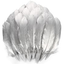 Penas de ganso THARAHT Silver 15-20 cm, naturais, 120 peças, artesanato Penas de ganso THARAHT Silver 15-20 cm, naturais, 120 peças, artesanato
