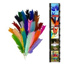 Penas de Pato Colorida 25un Caligrafia e Escrita Artística - Plumas e Penas