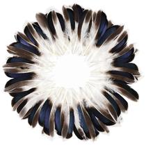 Penas de pato FeelFunFeather 240 unidades de 10 a 15 cm Natural Craft Penas de pato FeelFunFeather 240 unidades de 10 a 15 cm Natural Craft