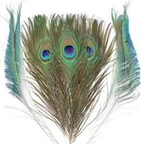 Penas de pavão THARAHT Real Natural 25-30 cm para artesanato, 24 unidades Penas de pavão THARAHT Real Natural 25-30 cm para artesanato, 24 unidades