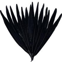 Penas LWINGFLYER, caudas de faisão, 25-30 cm, 10 unidades, pretas Penas LWINGFLYER, caudas de faisão, 25-30 cm, 10 unidades, pretas