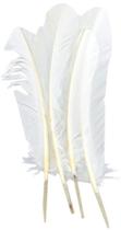 Penas PANAX Natural Turkey 20 peças de 20-28 cm/8-11 polegadas