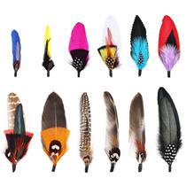 Penas para chapéus IHUFeather, cores variadas, 12 unidades (estilo 12)
