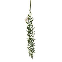Pendente de Suculenta para Decoração 63cm Outonado Decoromax
