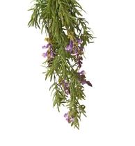 Pendente flores Lavanda e Alecrim Roxo - 78 cm