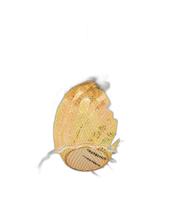 Pendente Moderno Vidro 15Cm Bancada Balcão Cozinha Gourmet C Pendente Moderno Vidro 15Cm Bancada Balcão Cozinha Gourmet C