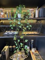 Pendente Planta Artificial Folha Hera Decoração Realista 1m Cor:Hera Pendente Planta Artificial Folha Hera Decoração Realista 1m Cor:Hera
