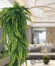 Pendente Samambaia Artificial Decore com Estilo.