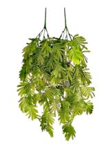 Pendente Samambaia Serra 85 Cms Sem Vaso Kit Com 2 Unidades