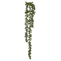 Pendente Suculenta Sedum Verde 50cm - D. E. A. D. A.