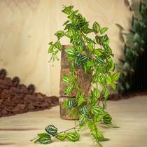 Pendente Toque Real Fitônia 97cm Jardim Vertical Formosinha - TOK DA CASA