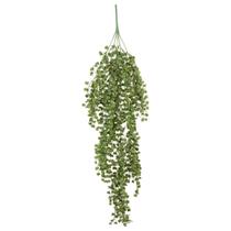 Pendente Verde Dischidia 80cm Pendente Verde Dischidia 80cm