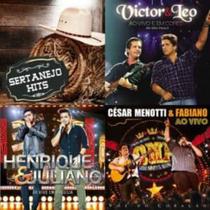 Pendrive de 16GB com músicas gratuitas de diversos gêneros música sertanejo hits - pen drive