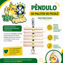 Pêndulo 30 Palitos de Picolé Piutorcedor