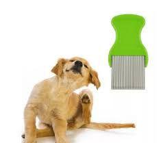 Pente Fino Extrator De Piolhos Lêndeas e Pulgas