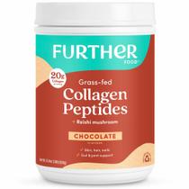 Peptídeos de colágeno em pó para outros alimentos, chocolate, 720 ml