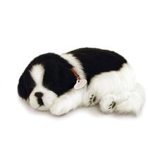 Perfect PETZZZ Filhote Cachorro Border Collie