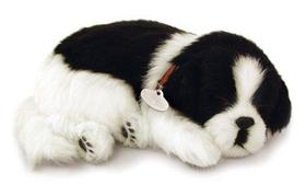 Perfect Petzzz Filhote Cachorro Border Collie Perfect Petzzz Filhote Cachorro Border Collie