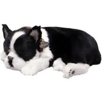 Perfect PETZZZ Filhote Cachorro Buldog Frances