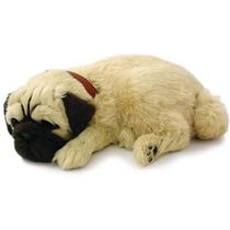 Perfect Petzzz Filhote Cachorro Pug Imex