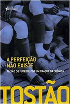 Perfeicao nao existe, a - paixao do futebol por um craque da cronica Perfeicao nao existe, a - paixao do futebol por um craque da cronica