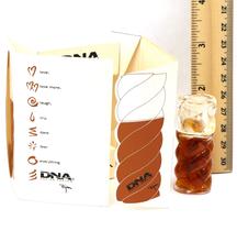 Perfume Bijan DNA Feminino 5ml Eau de Parfum Perfume Bijan DNA Feminino 5ml Eau de Parfum