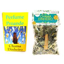 Perfume Chama Dinheiro Atrativo Financeiro Clientes Sorte Amor Autoestima Kit Perfume Chama Dinheiro Atrativo Financeiro Clientes Sorte Amor Autoestima Kit