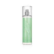 Perfume Colônia AMOTAOS 236mL Perfume Colônia AMOTAOS 236mL