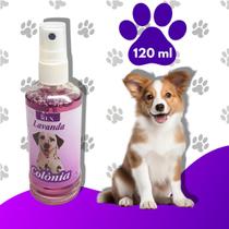 Perfume Colonia Cachorro Lavanda Rex 120ml