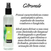 Perfume De Ambiente Em Spray - 200ml - Amaznia Aromas - Amazônia Aromas