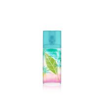 Perfume Elizabeth Arden Green Tea Coconut Breeze 50 ml Perfume Elizabeth Arden Green Tea Coconut Breeze 50 ml