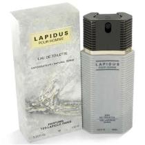 Perfume Lapidus Pour Homme Eau De Toilette Masculino 100ml Ted Lapidus