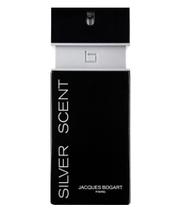 Perfume masculino silver scent 100ml edt