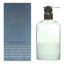 Perfume Nino Cerruti Cerruti Image Pour Homme Eau de Toilette 100ml