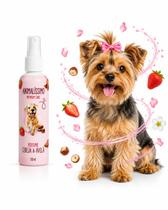 Perfume Spray Cachorro Gato Pet 50ml Fragrância Cereja Avelã Perfume Spray Cachorro Gato Pet 50ml Fragrância Cereja Avelã