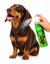 Perfume Spray Colonia Cães Gatos Cheiroso Pet Clean 60ml Perfume Spray Colonia Cães Gatos Cheiroso Pet Clean 60ml