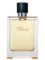 Perfume Terre D Hermes Masculino Eau De Toilette 100ml