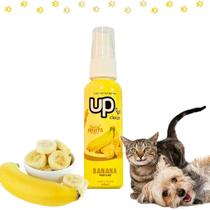 Perfume Up Clean Tropical Fruits Cachorro Cão Gato Pet 60ml Perfume Up Clean Tropical Fruits Cachorro Cão Gato Pet 60ml