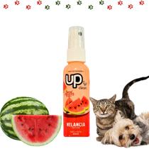 Perfume Up Clean Tropical Fruits Cachorro Cão Gato Pet 60ml