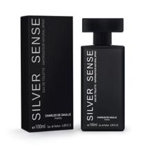 Perfumes Masculino Silver Sense 100 Ml