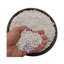 Perlita Expandida Grossa 5 Litros substrato drenagem plantas geral cactos suculentas