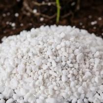 Perlita Expandida Grow Cultivo germinação 10 litros Perlita Expandida Grow Cultivo germinação 10 litros