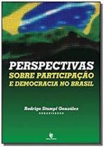 Perspectivas sobre participaçao e democracia no brasil