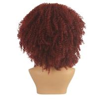 Peruca Cacheada Dandara Sintetca Peruca Cacheada Dandara Sintetca